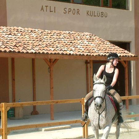 Iksir Resort Town Daday Exterior photo